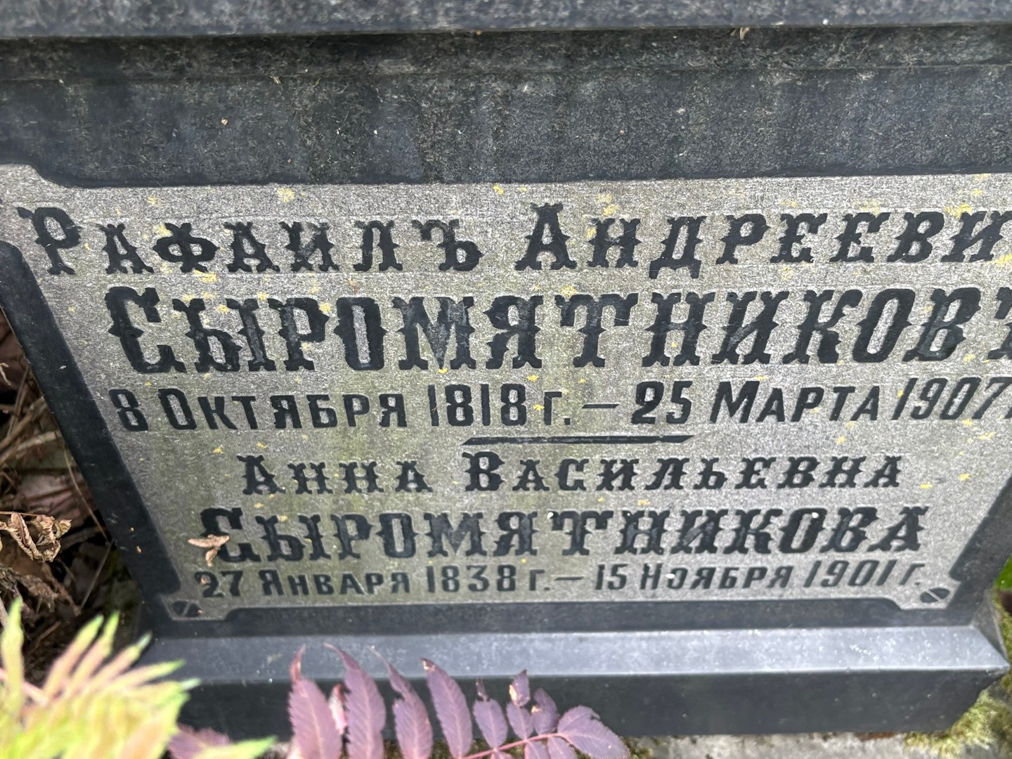 Рафаиль Сыромятников Андреевич