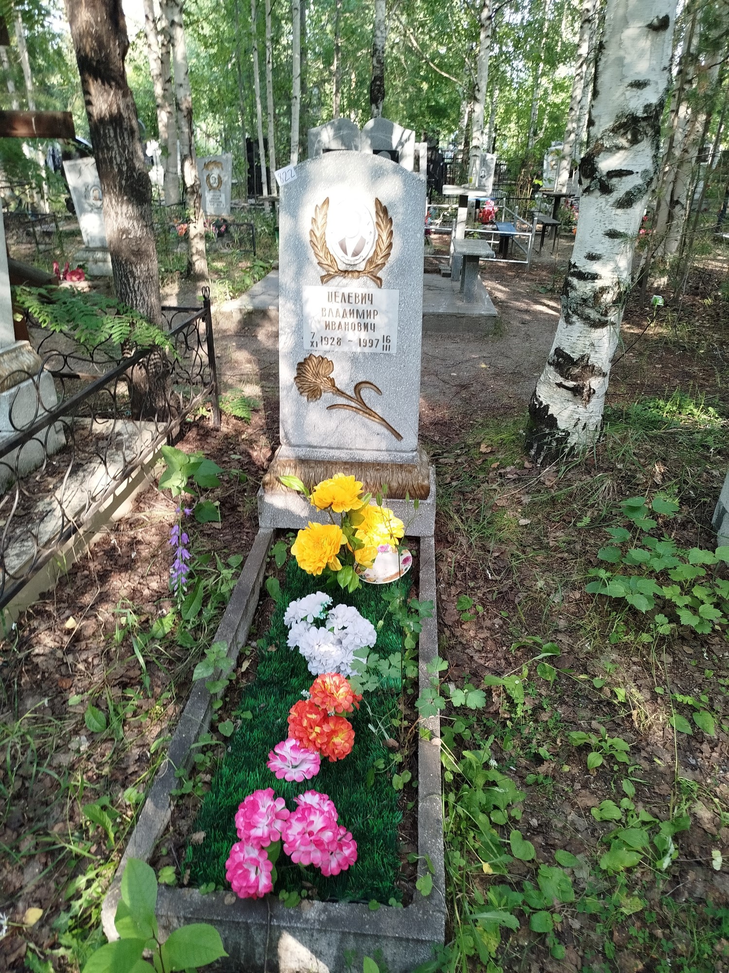 Целевич Владимир Иванович