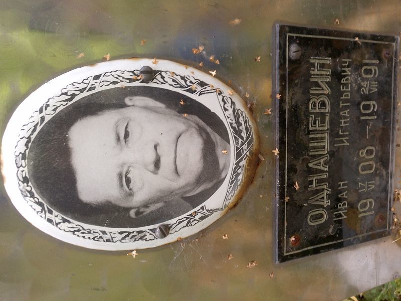 Однашевин