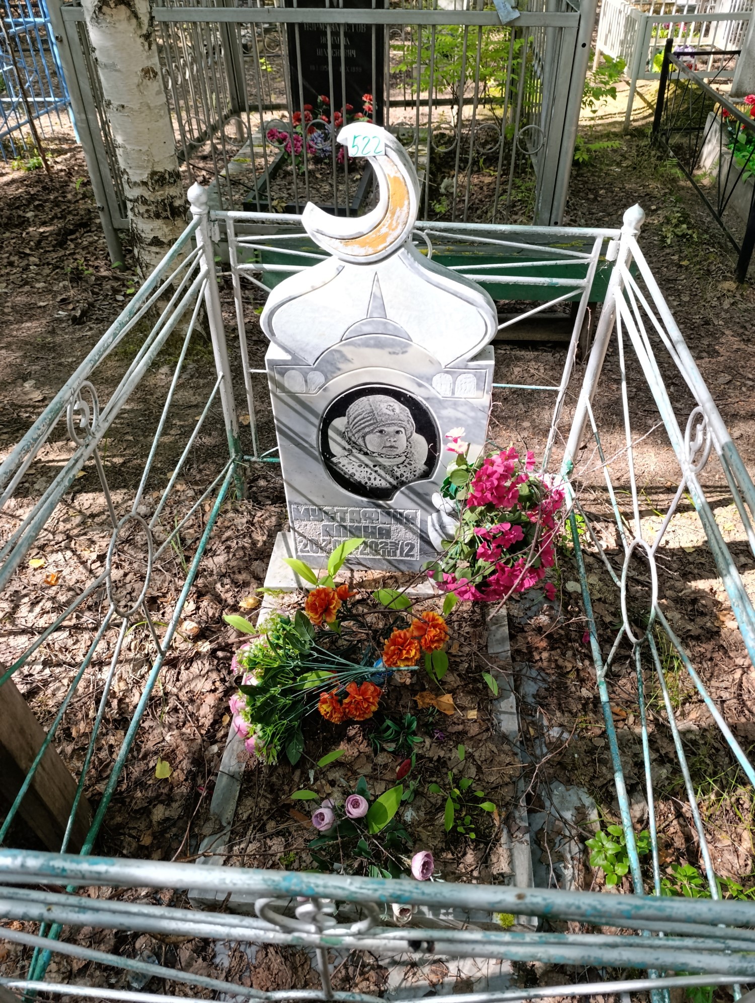 Мустафина Алина