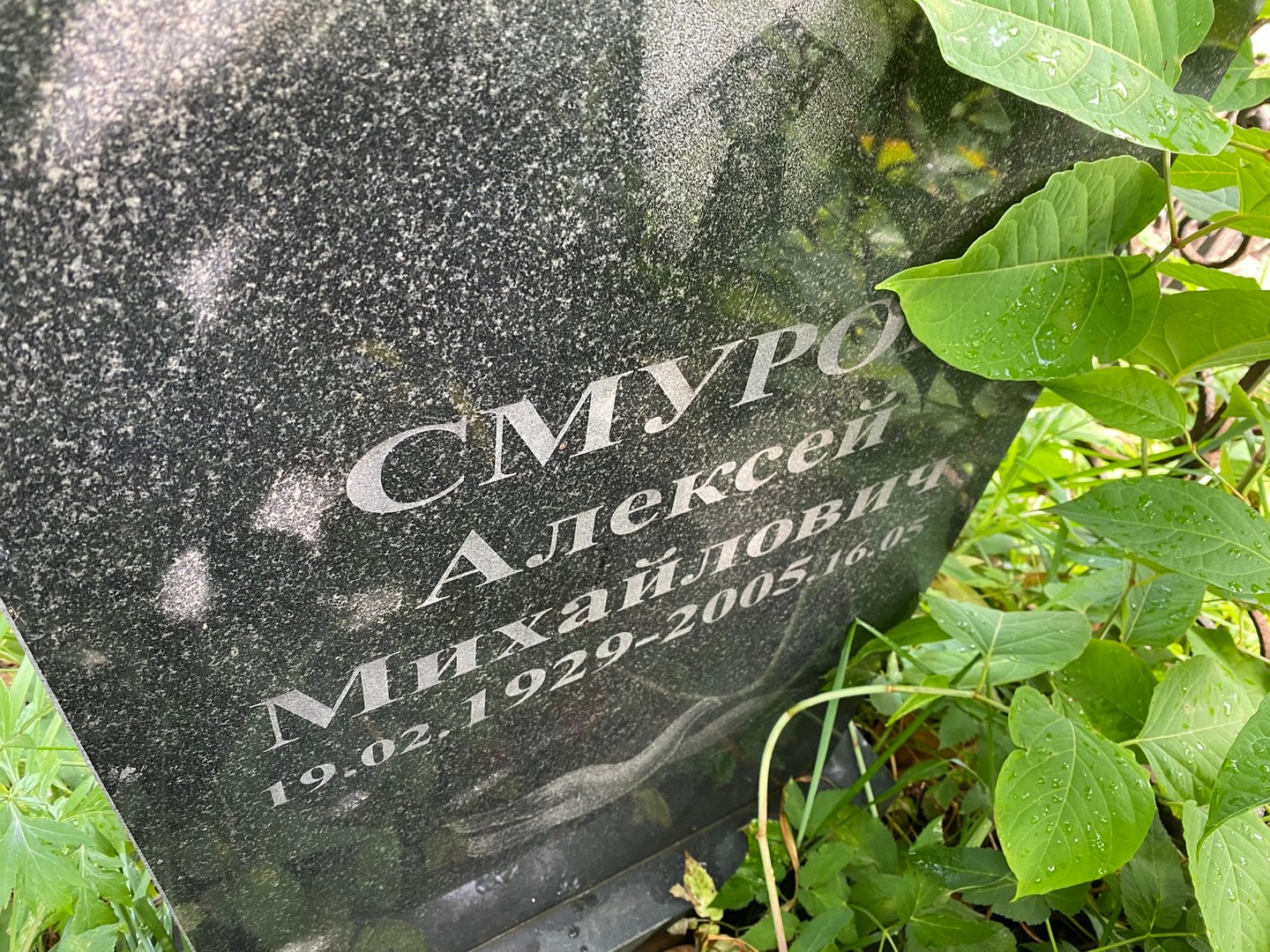 Смуров