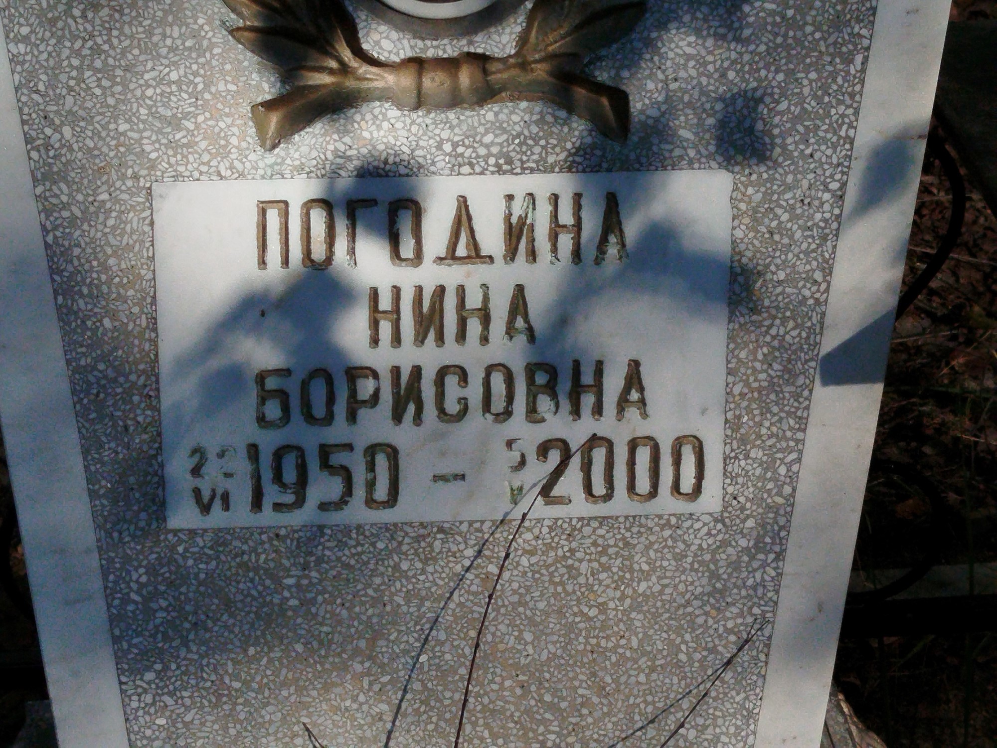 Погодина Нина Борисовна