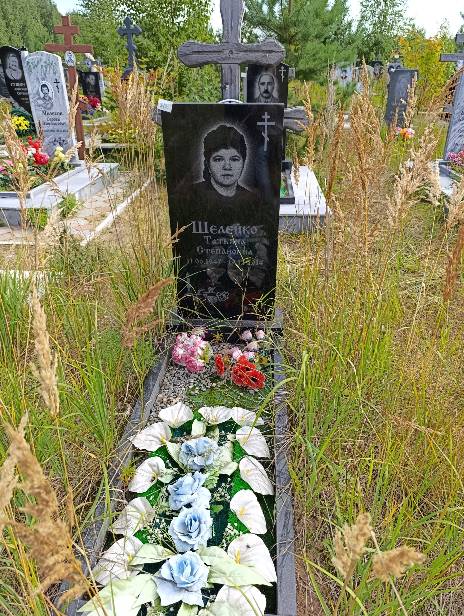 Шелейко Татьяна Степановна