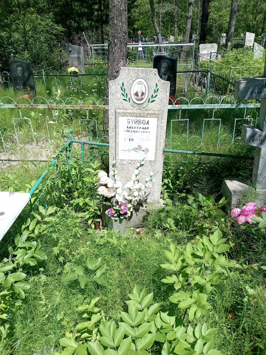 Буйвол Александр Михайлович