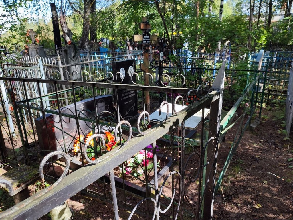 Ильин Дмитрий Владимирович