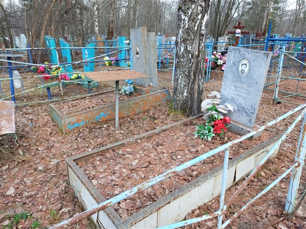 Сельдюков В. П.