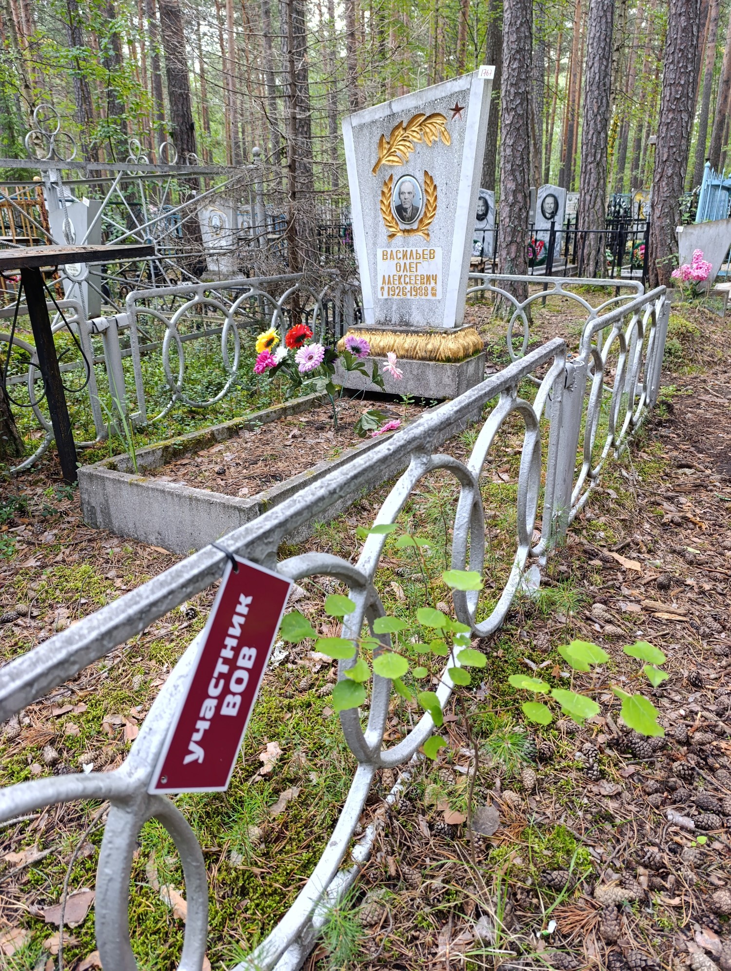 Васильев Олег Алексеевич