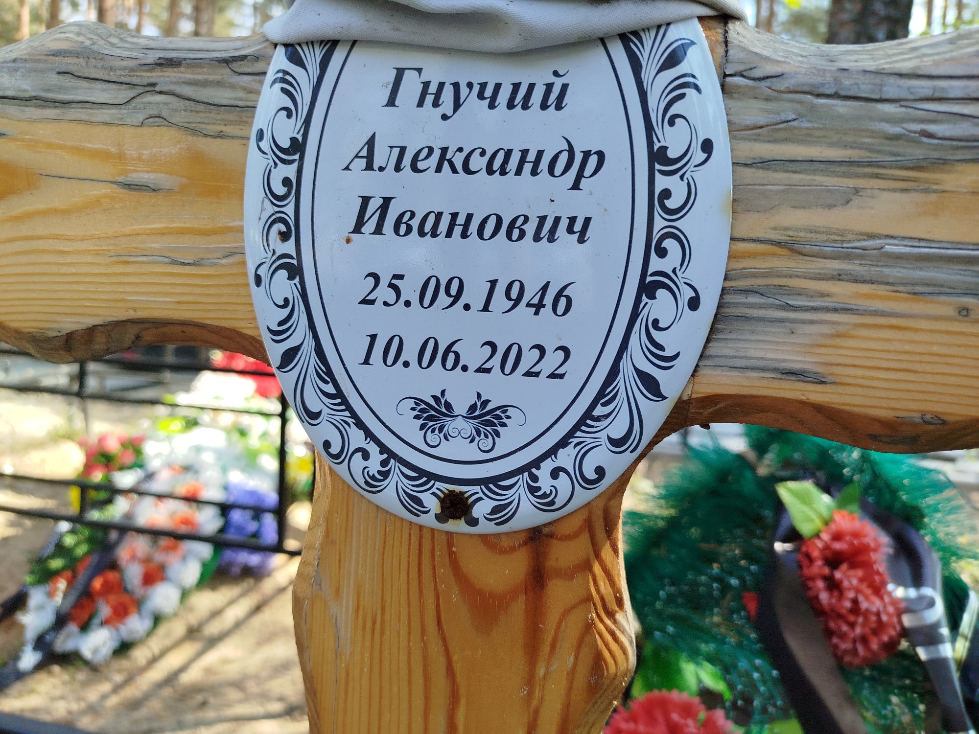 Гнучий Александр Иванович