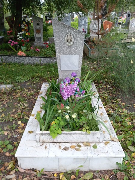Антонов Дмитрий Никифорович