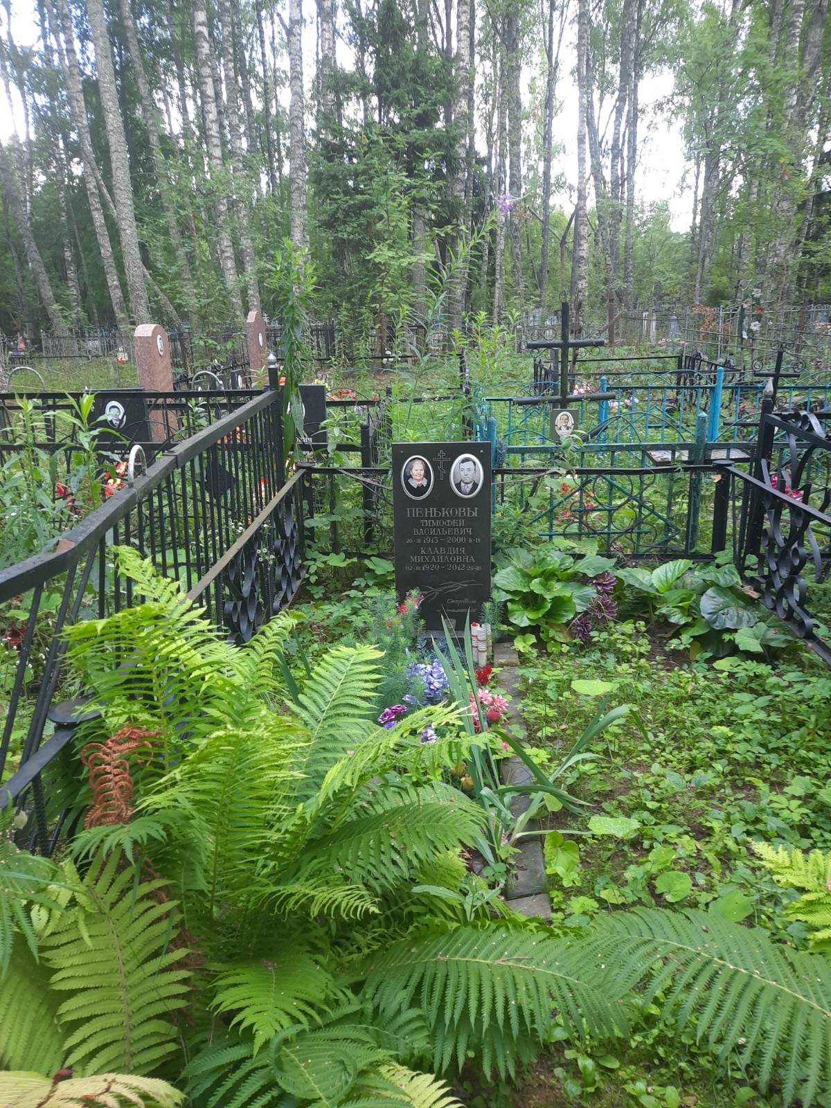 Пеньков Тимофей Васильевич