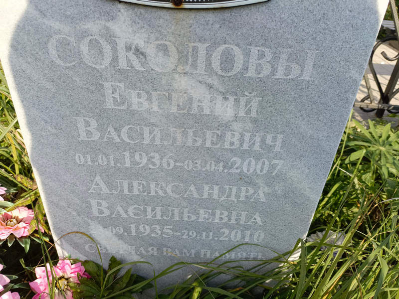 Соколов