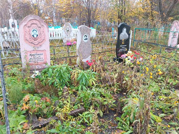 Васильтева Анна Андрияновна