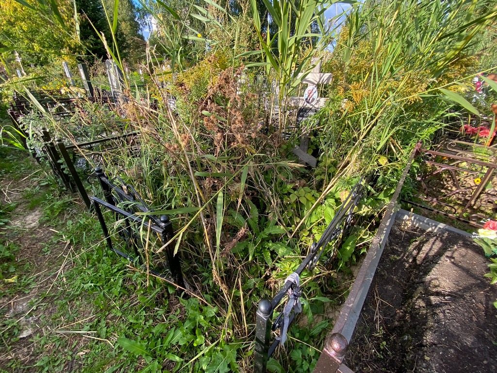 Саикин Илья Владимирович