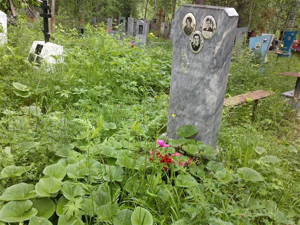 Семашко Григорий Михайлович