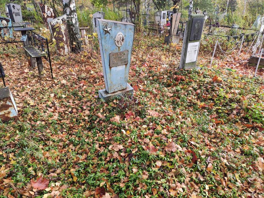 Ширяев Владимир Григорьевич