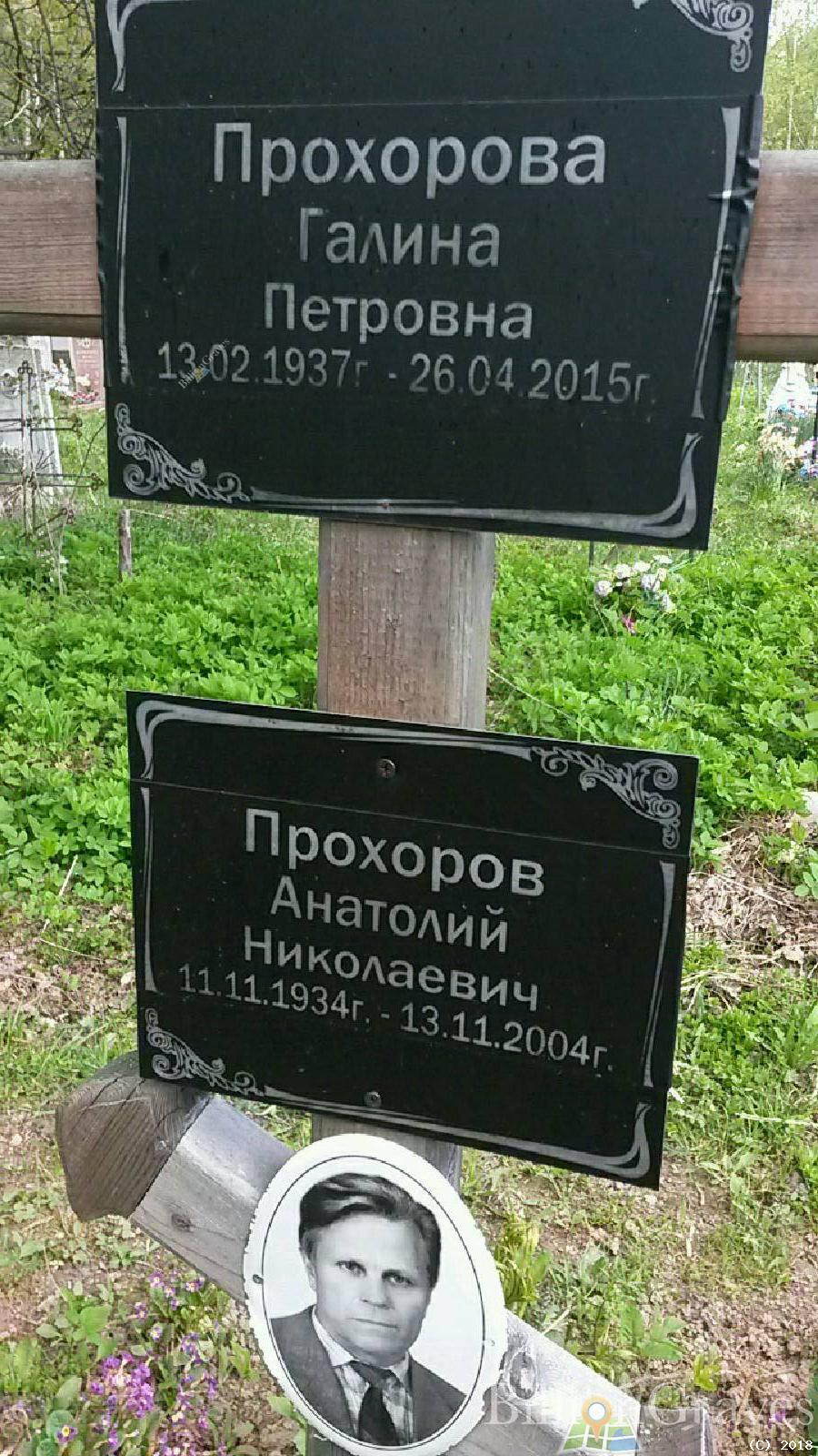 еремичева елена Александровна