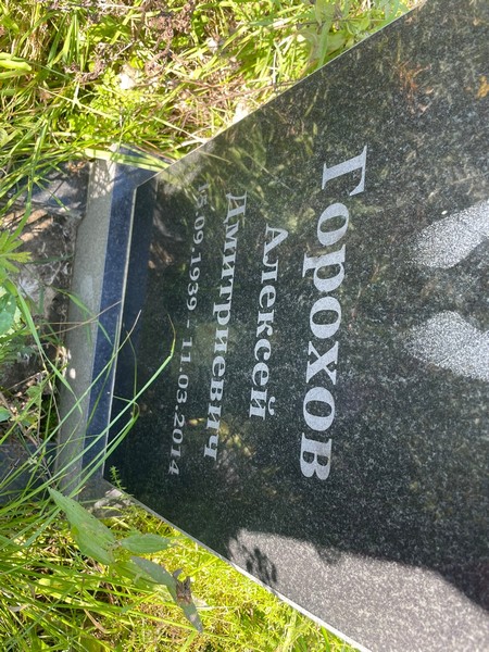 Горохов