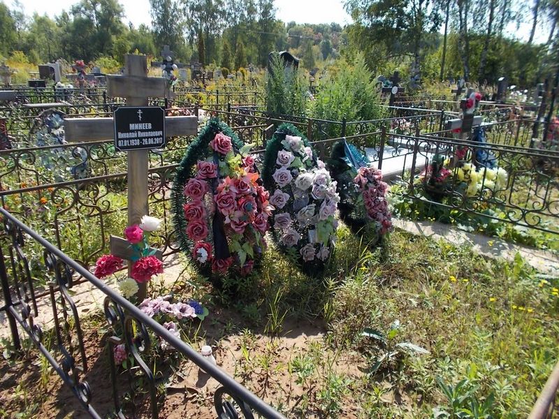 Минеев Николай Николаевич