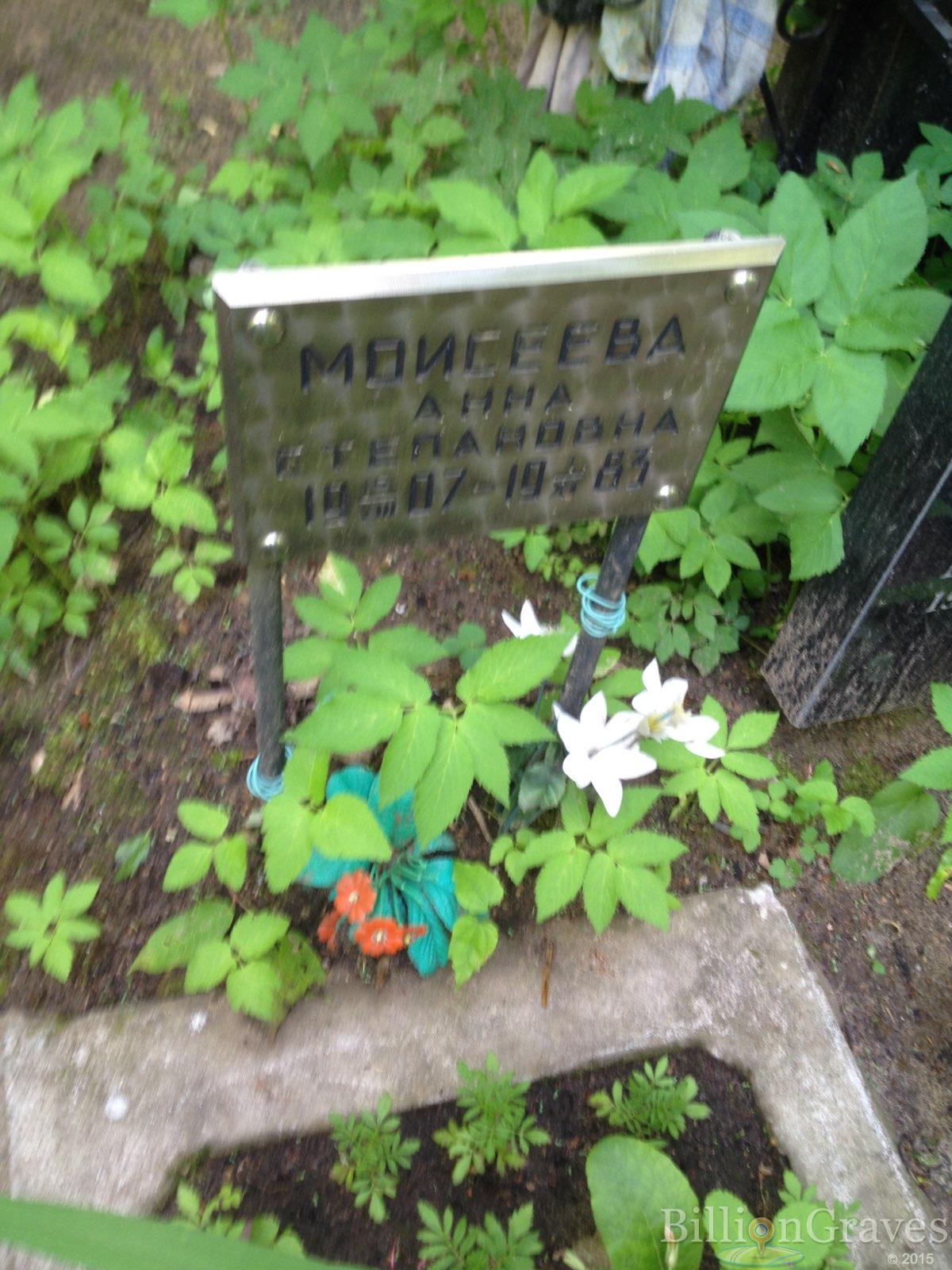 Моисеева Анна Степановна