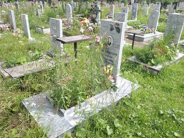Медовщикова Земфира Васильевна