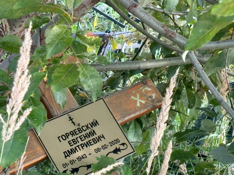 Горяевский