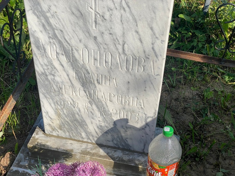 Долгополова
