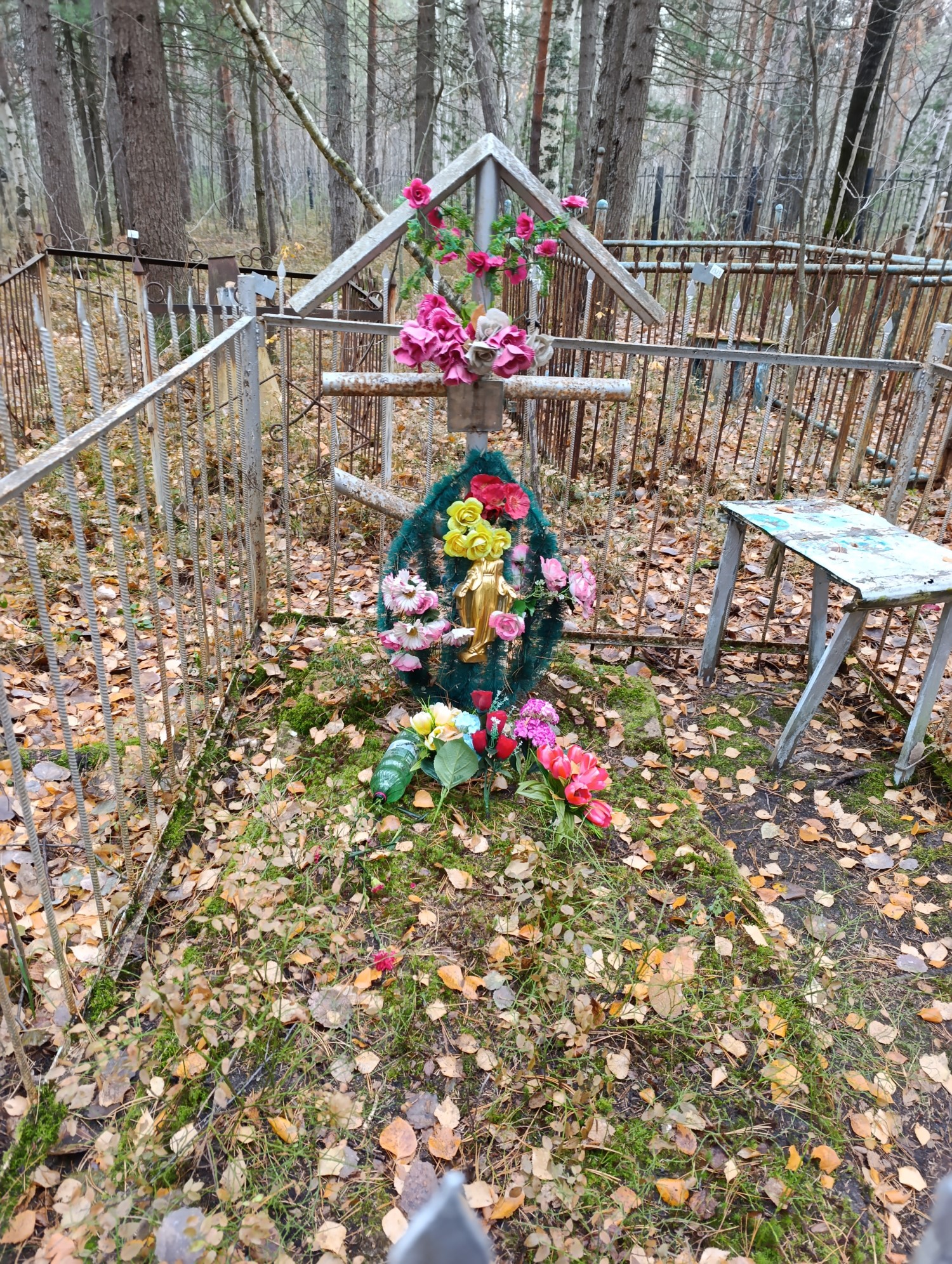 Фомина Анна Афонасьевна