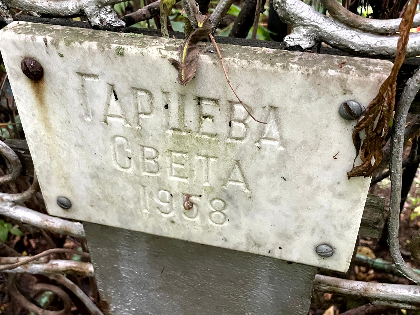 Гарцева Гарцева