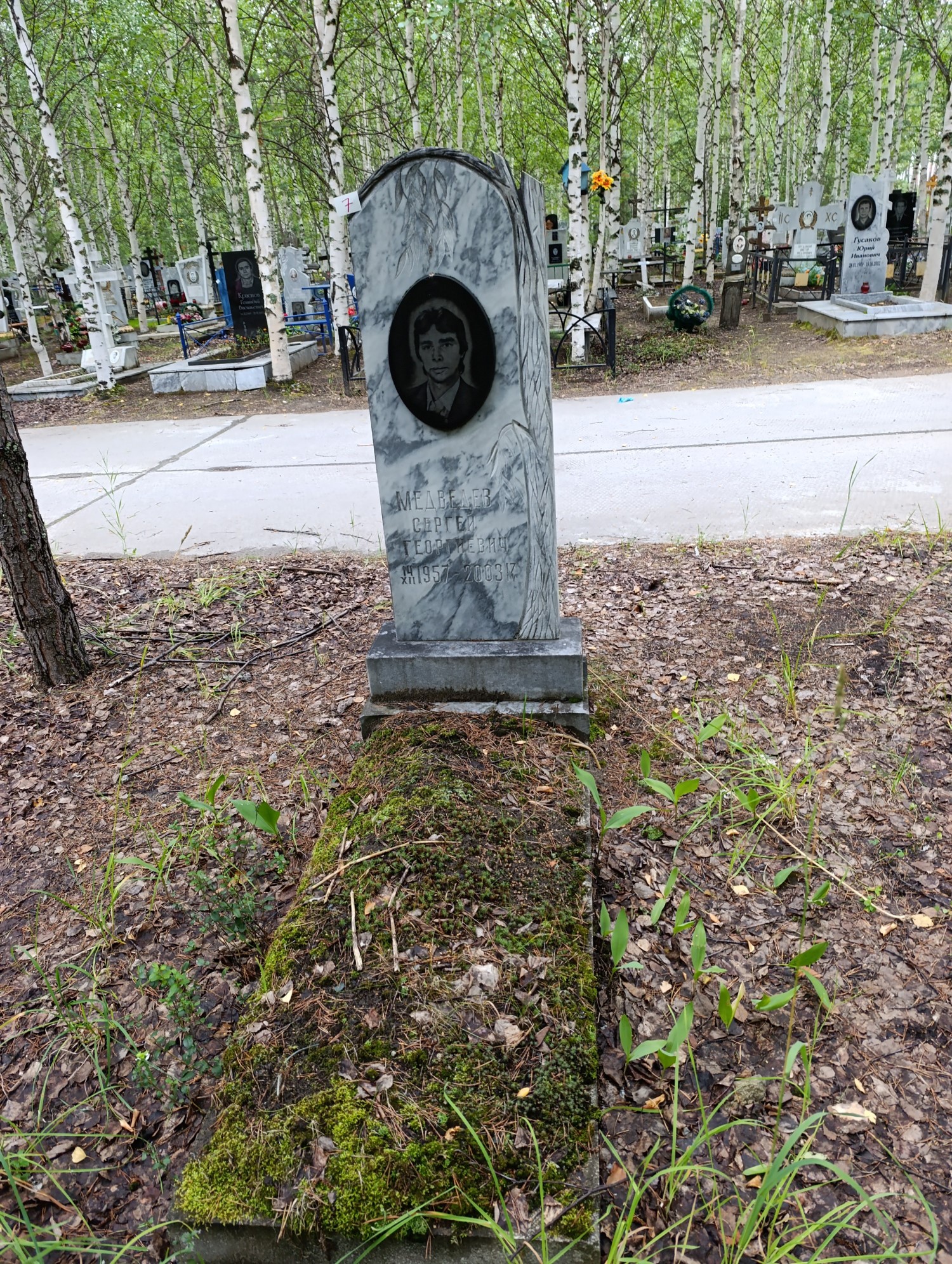 Медведев Сергей Георгиевич