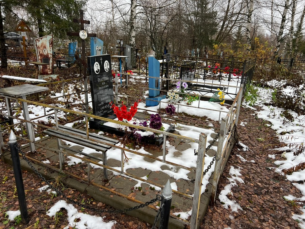 Платов Лев Николаевич