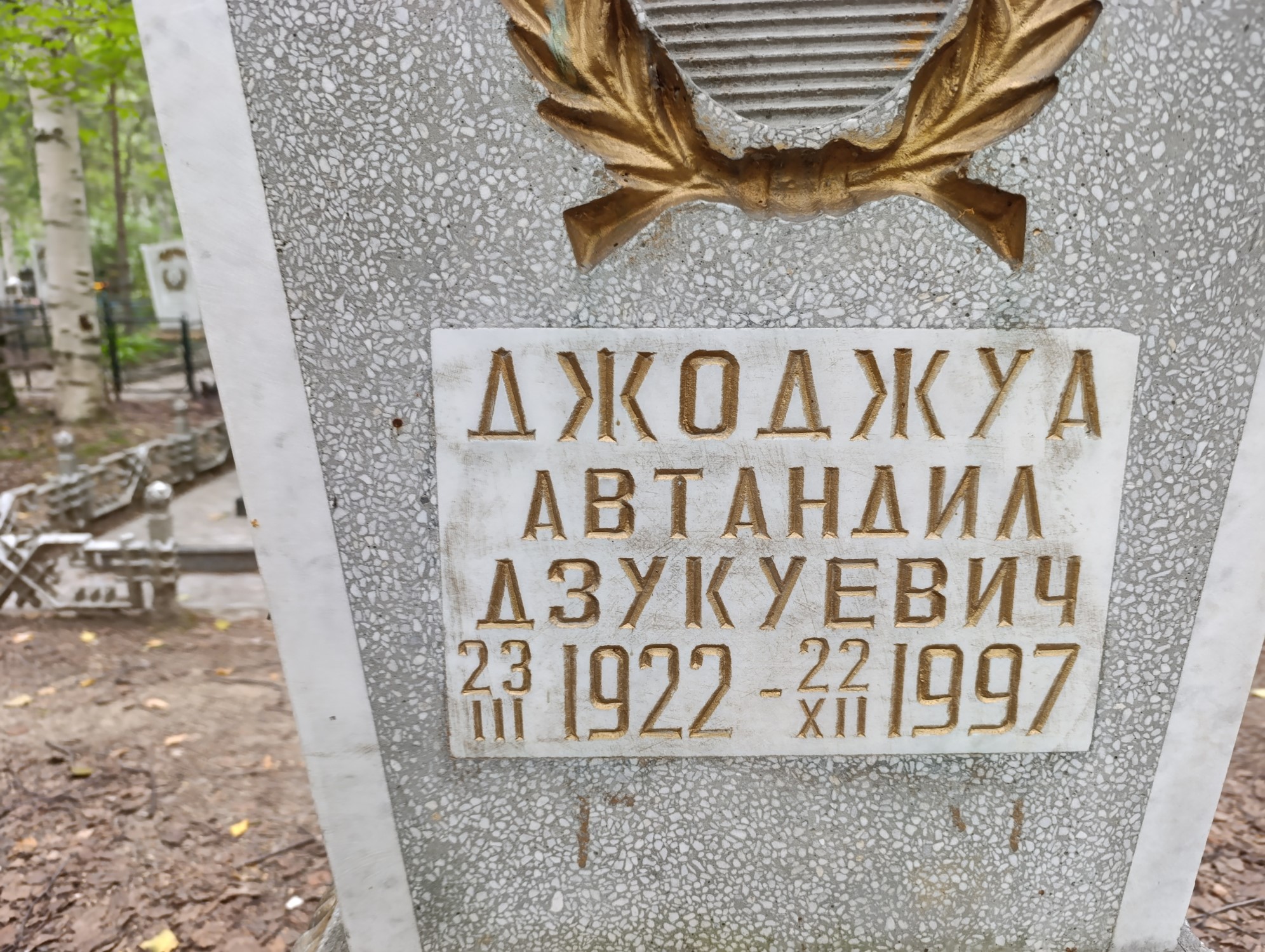 Джожуа Автандил Дзукуевич
