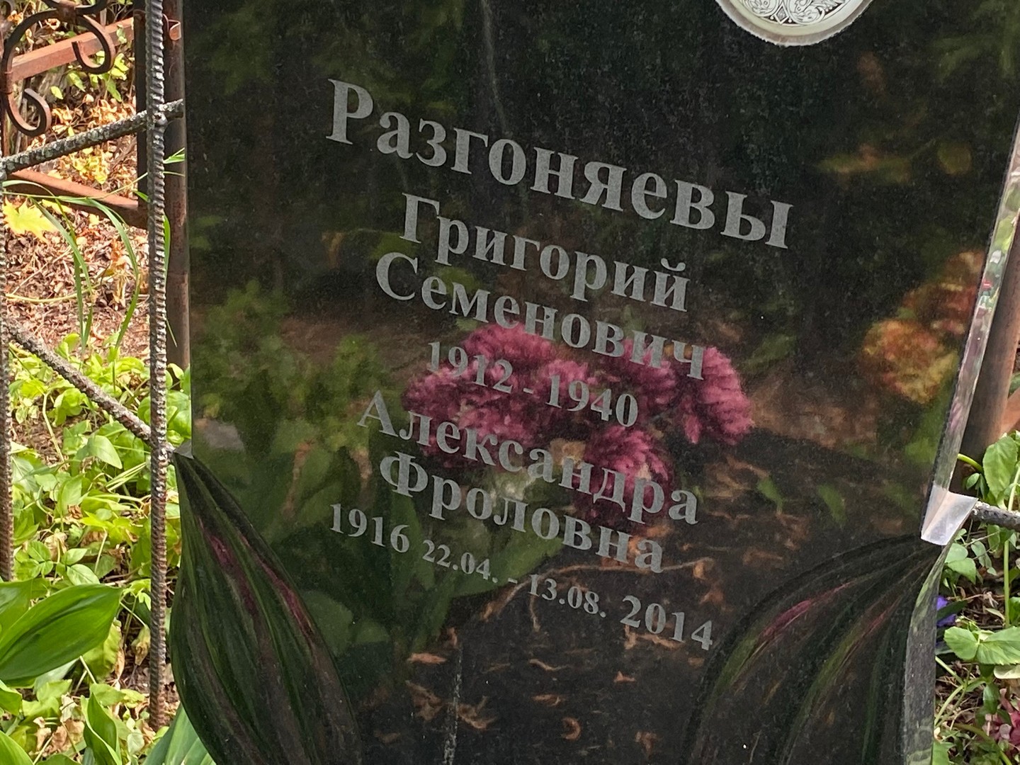 Разгоняева Александра Фроловна