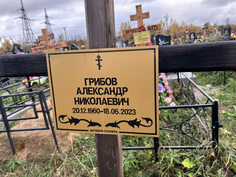 Грибов