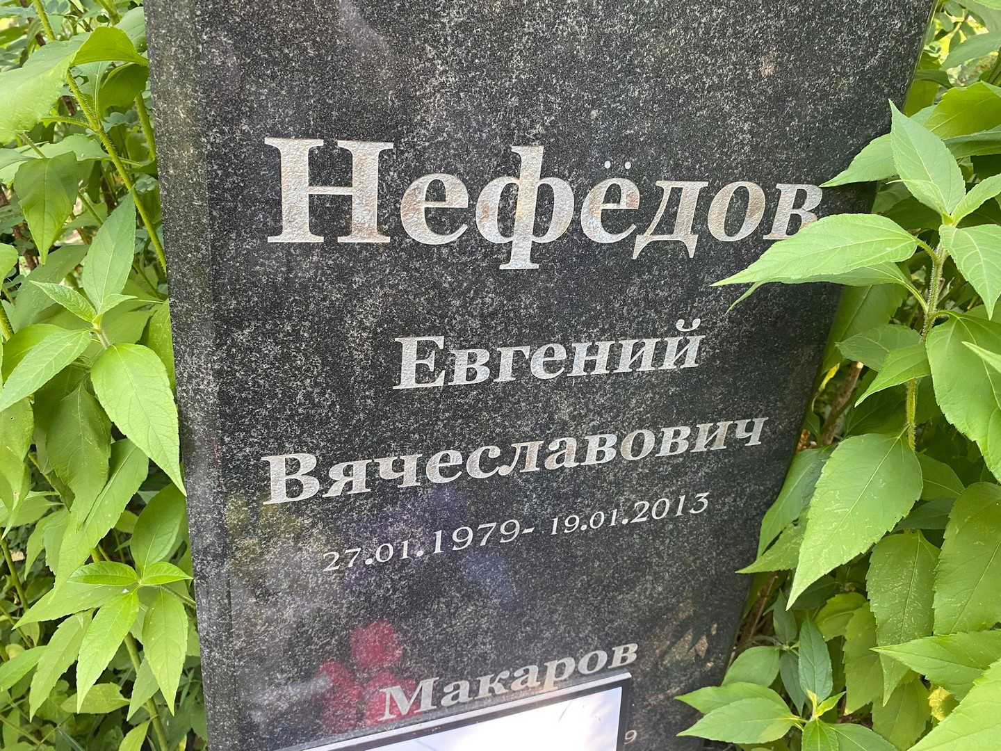 Нефедов