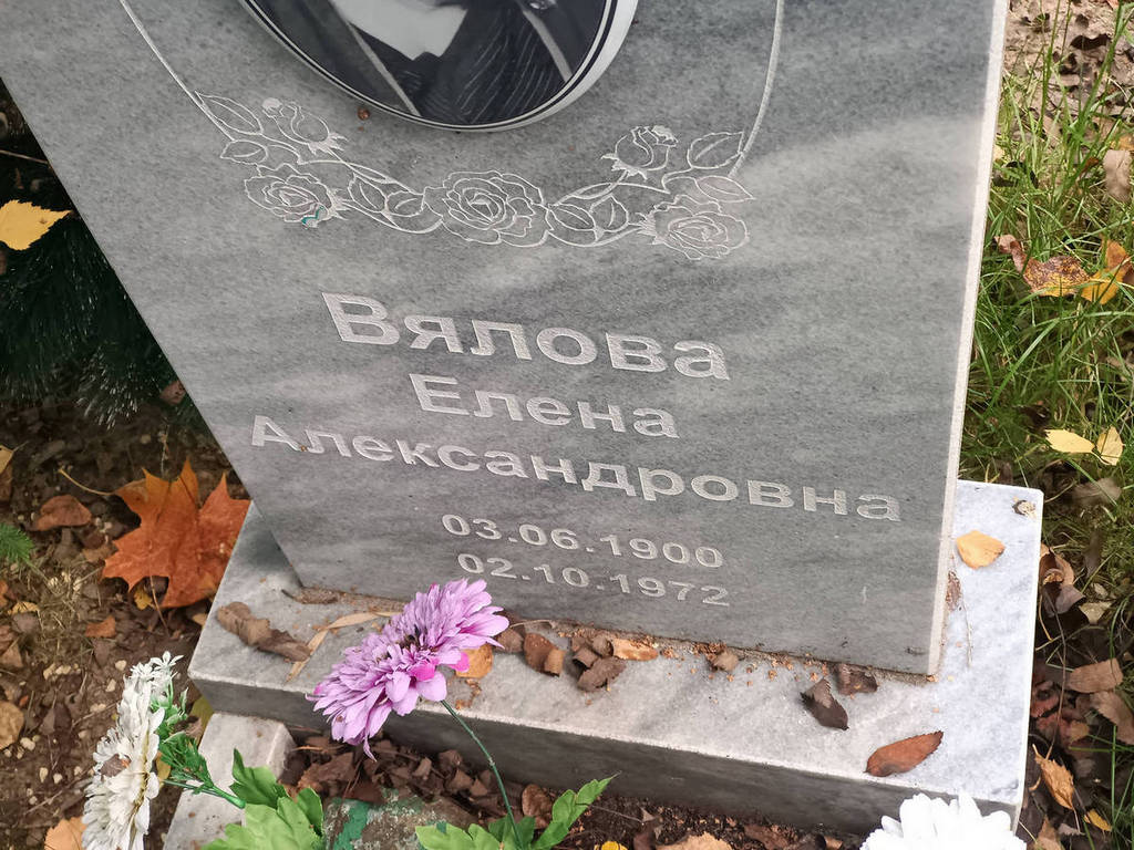 Вялова Елена Александровна