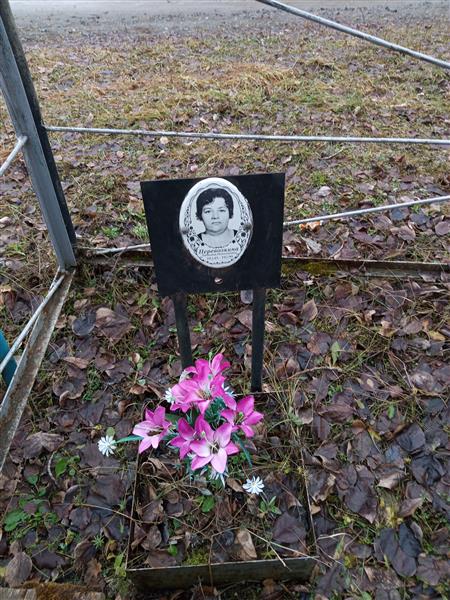Перевозкина Татьяна Николаевна