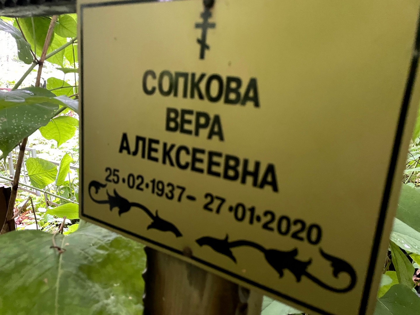 Сопкова