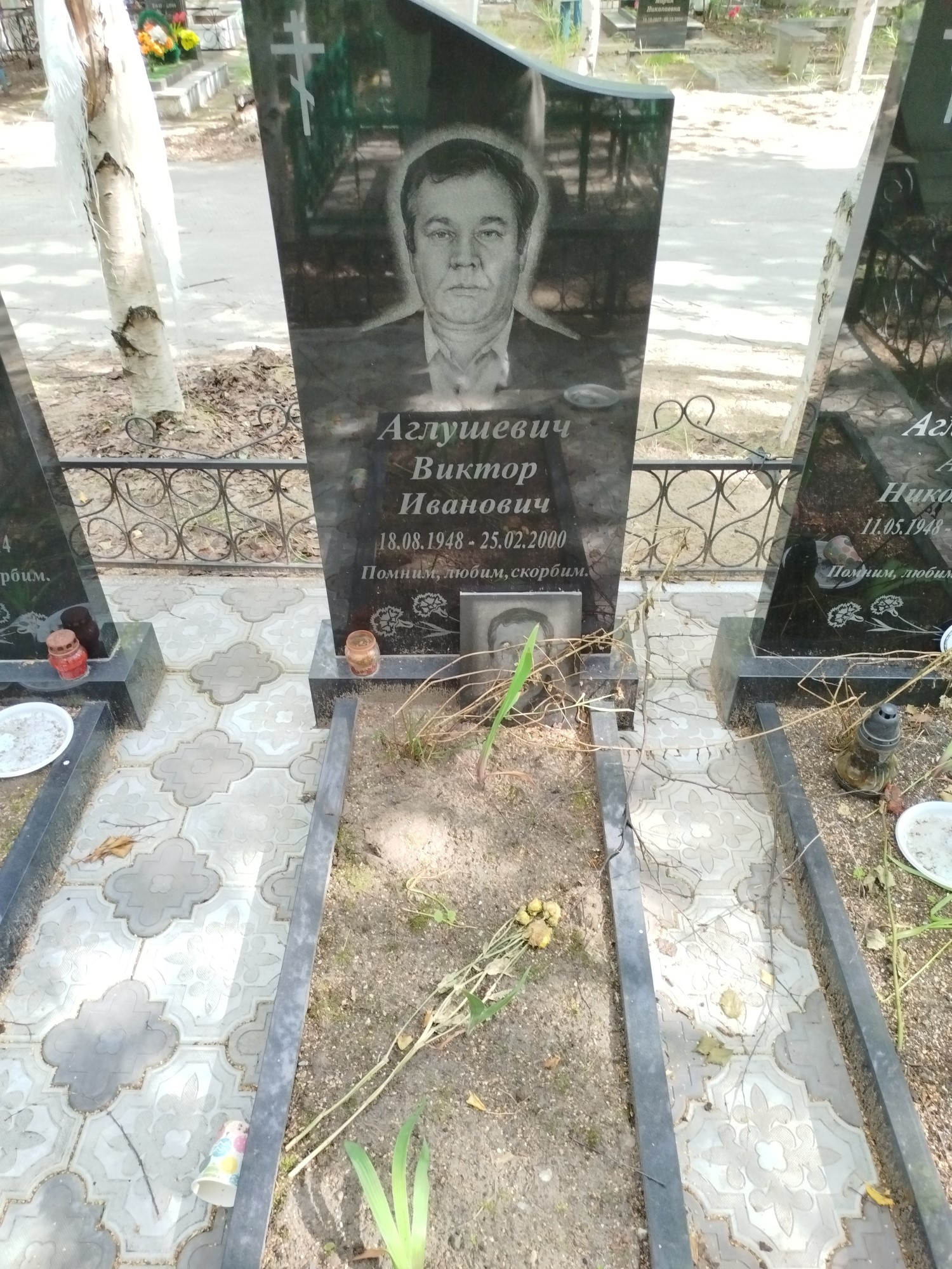 Аглушевич Виктор Иванович
