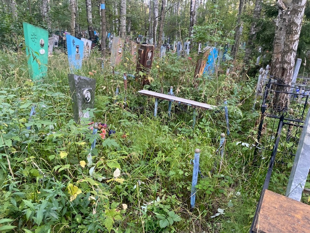 Ядрецова Евгения Спиридоновна
