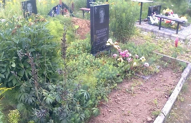 Лебедев Николай Иванович