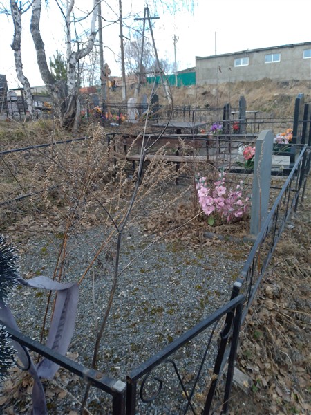 Петушкова Анастасия Николаевна