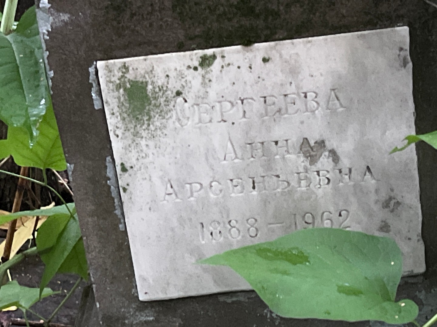 Сергеева