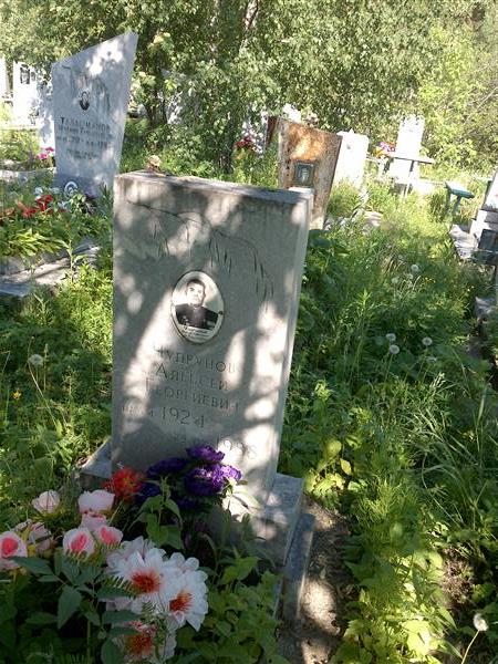 Чупрунов Алексей Георгиевич