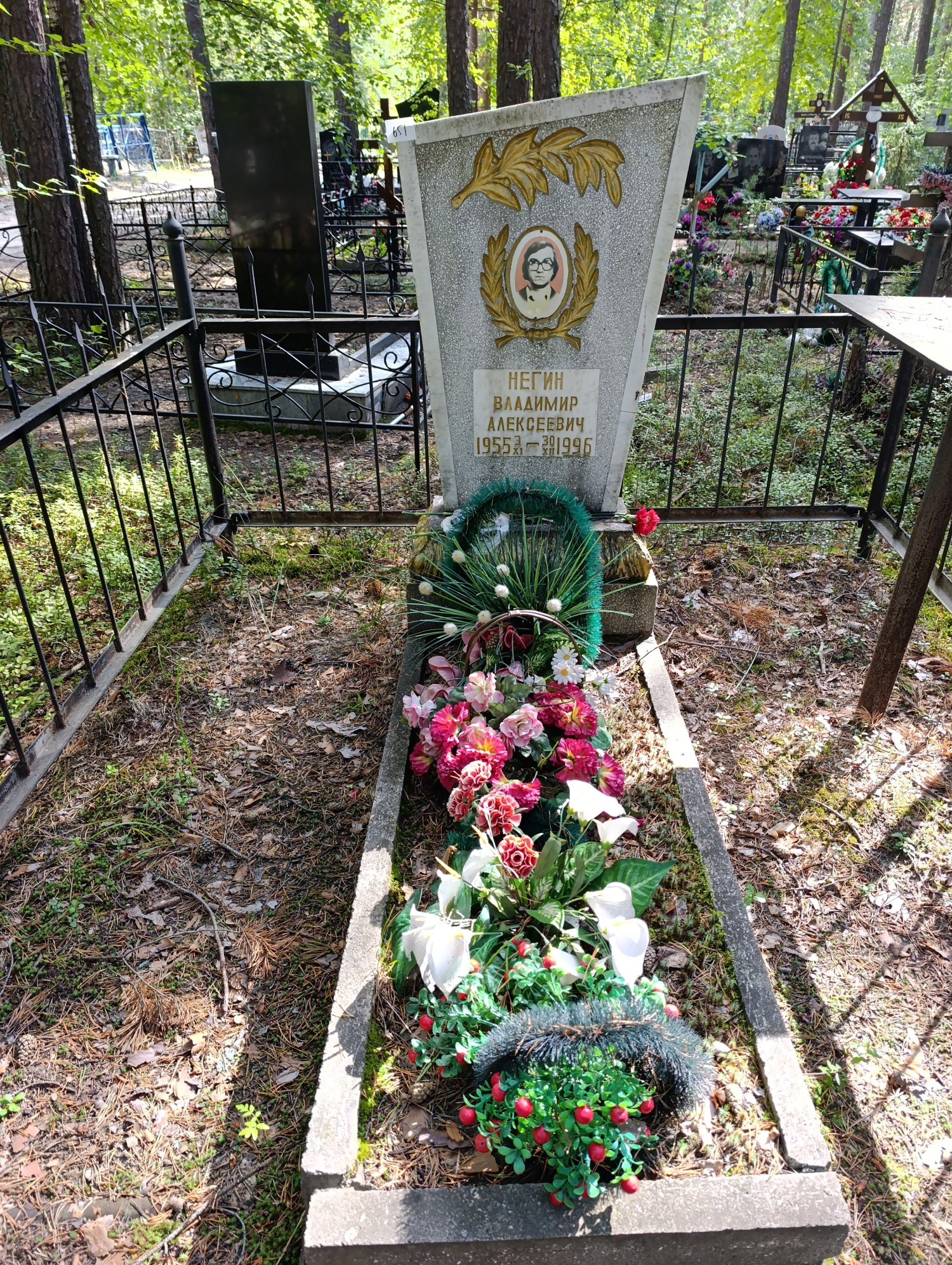 Негин Владимир Алексеевич