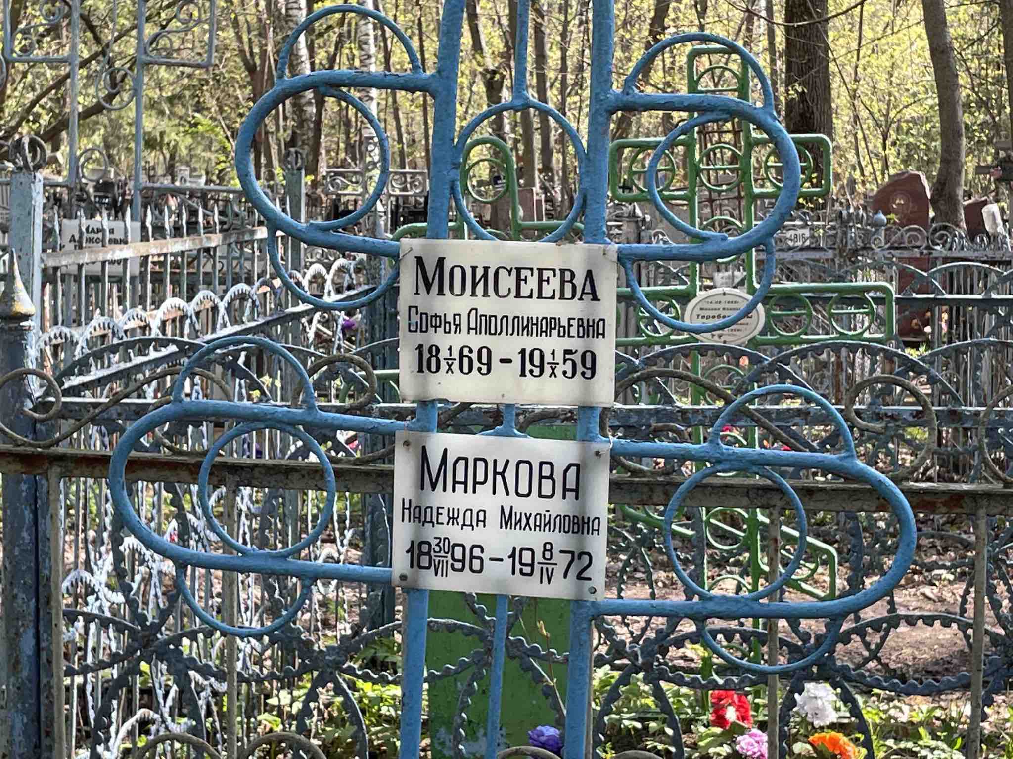 Моисеева Софья Аполлинарьевна