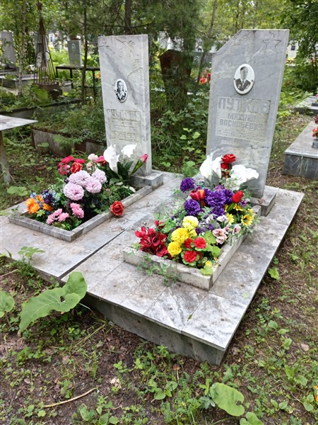Путкова Анастасия Николаевна