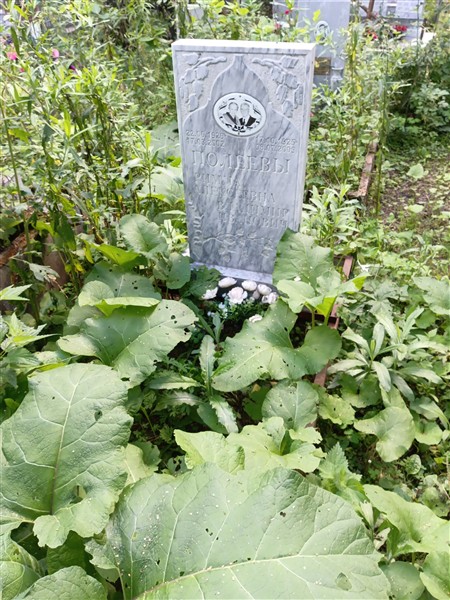 Полеев Владимир Иванович