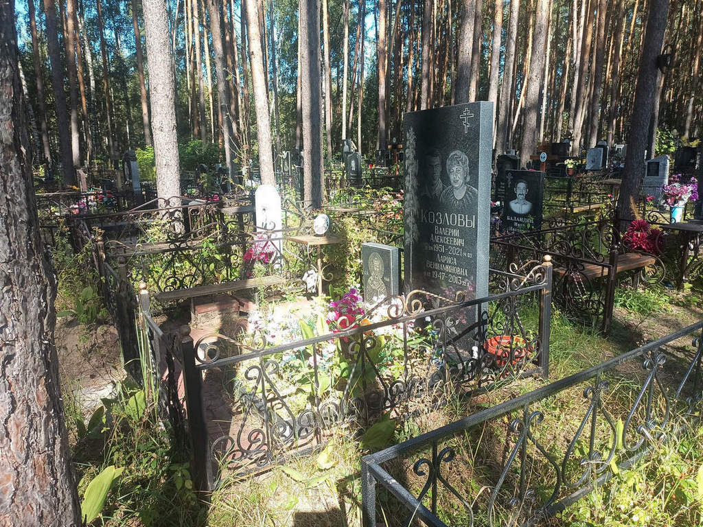 Козлова Лариса Вениаминовна