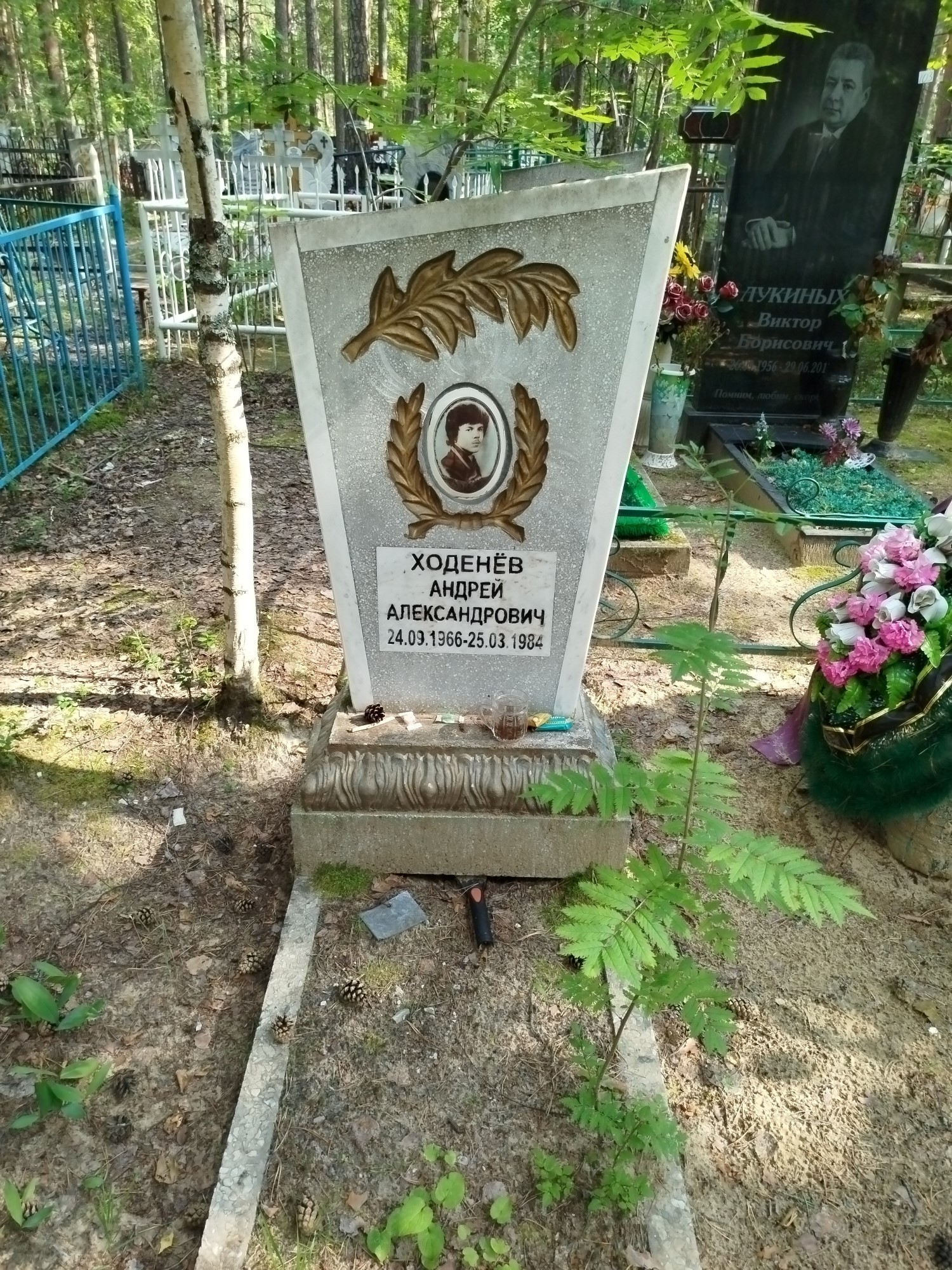 Ходенев Андрей Александрович