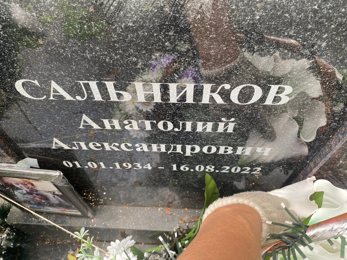 Сальников